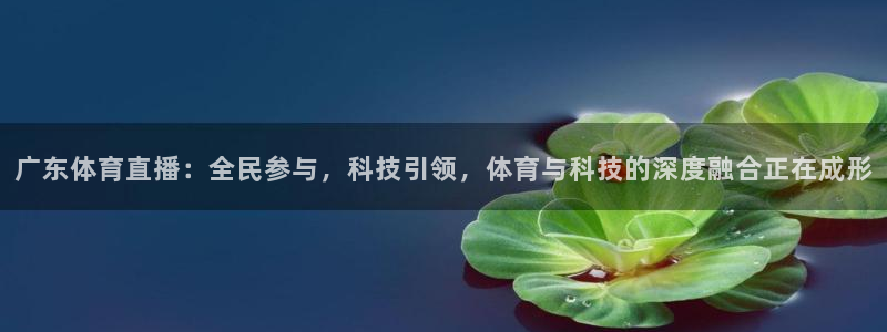 广东体育直播：全民参与，科技引领，体育与科技的深度融合正在成形