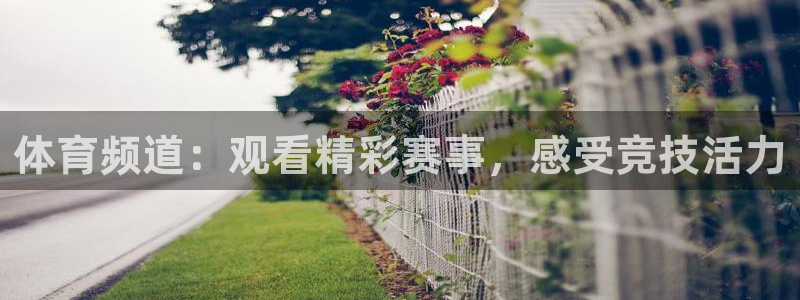 体育频道：观看精彩赛事，感受竞技活力