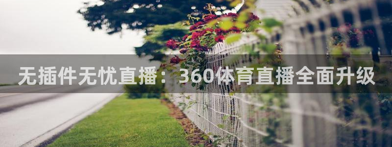 无插件无忧直播：360体育直播全面升级