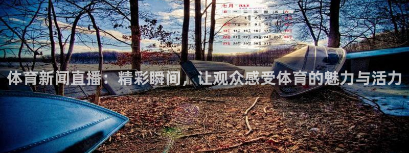体育新闻直播：精彩瞬间，让观众感受体育的魅力与活力