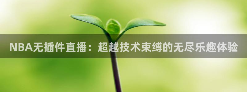 NBA无插件直播：超越技术束缚的无尽乐趣体验