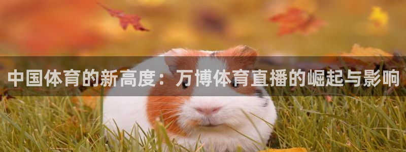 中国体育的新高度：万博体育直播的崛起与影响