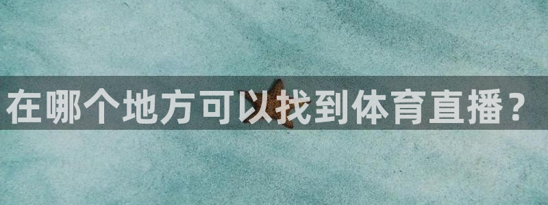 在哪个地方可以找到体育直播？