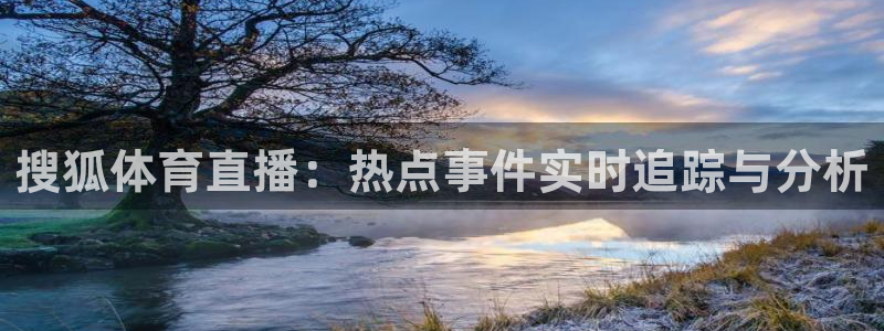 搜狐体育直播：热点事件实时追踪与分析